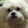 Taylor N's profile image