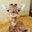 Suzie Garcia's profile image