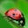 Lisa Griffith's profile image