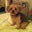 Lisa Kistler's profile image