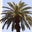 Suzanne Lamontagne's profile image