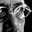 sjp's profile image