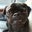 Michelle Arnold's profile image