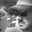 Tom Levier's profile image