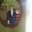 William Ebeling's profile image