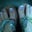Karlee Standfuss's profile image