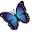 Judy Lipinski's profile image