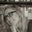 Samantha Hock's profile image