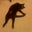 Ryan Neary's profile image