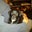 Maureen McClurkin's profile image