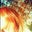 Hatice U.'s profile image