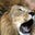 Eddie Mart's profile image