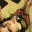 Toasty Rankin's profile image
