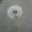 Mr Mr's profile image