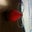 Jeff B.'s profile image