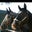 Shawna Ovard's profile image
