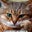Michael Wollschlager's profile image