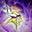 Thomas Pankratz's profile image