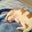 Kungar Mendez's profile image