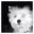 Lorie Worley's profile image