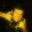 Chance iCoopuh's profile image