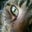 Barbara Cannon's profile image