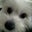 Jan P's profile image