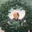 Melanie Holdorf's profile image