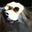 Michelle Holmertz's profile image
