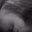 Jennifer See's profile image