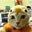 The Hungry Cat's profile image