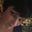 Alyssa Peters's profile image