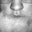 Shelby Wright's profile image