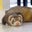 Andrew Potter's profile image