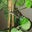 Glen Clark's profile image