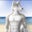 Patrick Perkins's profile image