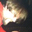 Luke Long's profile image
