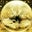 Steven Clark's profile image