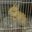 Jose Luis Charles's profile image