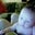 Preston Suzuki's profile image
