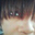 Shani Brunson-Brown's profile image