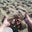 Gail Shingler's profile image