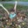 Barry Brickey's profile image