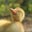 Razan's profile image