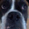 Bryan Brock's profile image