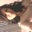 April Trejo's profile image