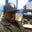 Marcus Medlock's profile image