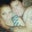 Melissa Dawn's profile image