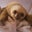 Becky Scroggin Koetters's profile image