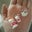 Aixa Miranda's profile image